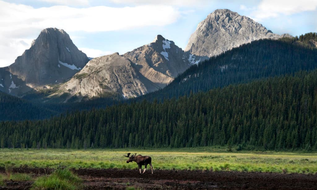 Courtesy of Travel Alberta